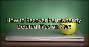 How to Recover Permanently Deleted Photos on Mac?